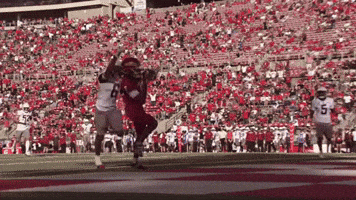 Touchdown GIF