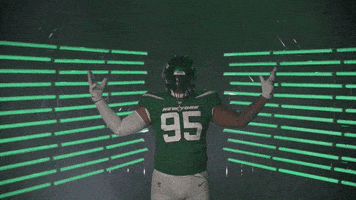 National Football League GIF by New York Jets