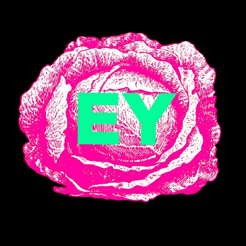 Yorkshire Ey Up GIF by Cabbage Patch Bakery