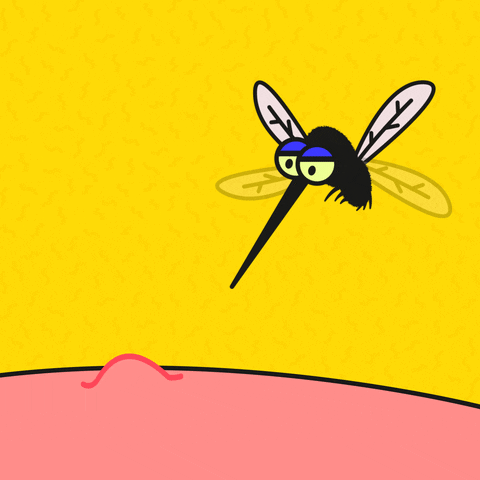 puntura di zanzara