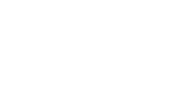 Racing Send It Sticker by Moto Loko