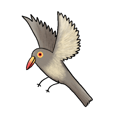 Featured image of post View 11 Animated Flying Bird Gif Transparent