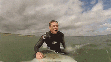Surfing Seal GIF