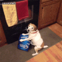 mad bud light GIF