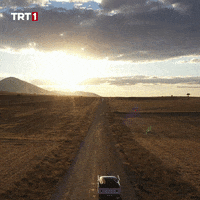 Car Driving GIF by TRT