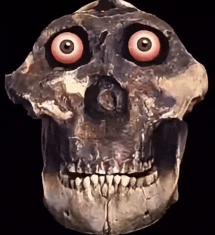 Skull Iphone GIF