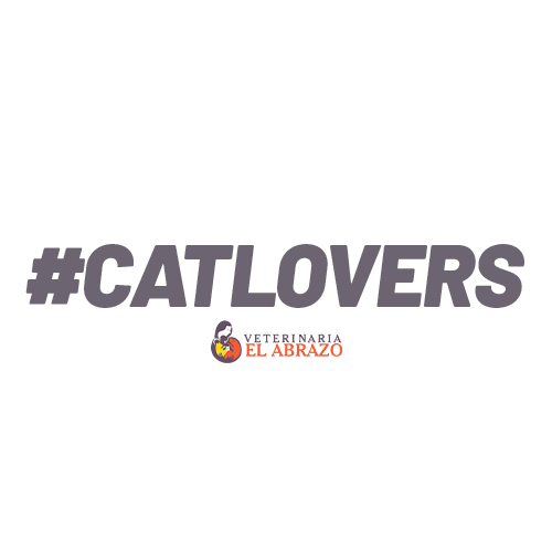 Veterinaria El Abrazo Sticker