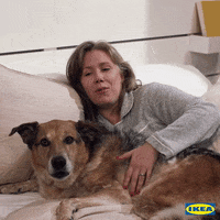 Dog Yawn GIF by IKEA USA
