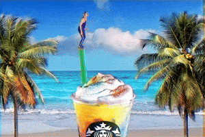 GIF by Starbucks