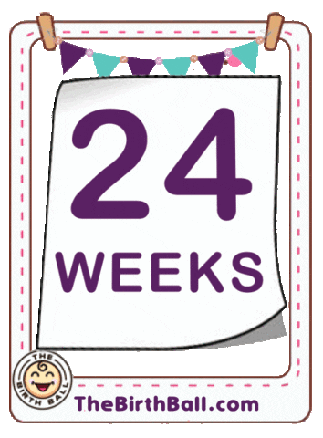 Expecting 24 Weeks Sticker by The Birth Ball