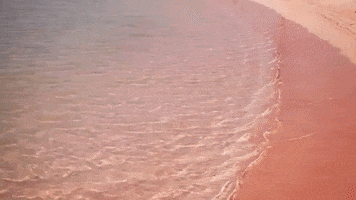 pink greece GIF by For 91 Days