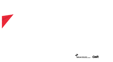 Flysafe Sticker by Delhi Airport