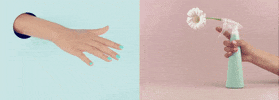 zoyauk beauty hand pastel nails GIF