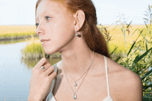 Model GIF