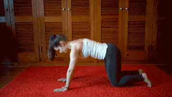 Pilates GIF