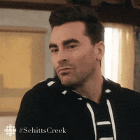 dan levy wink GIF by CBC