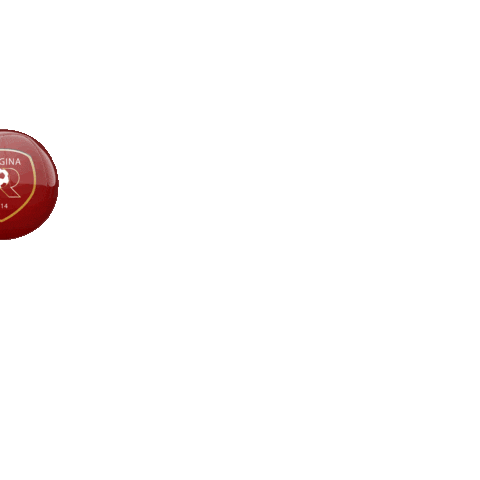 Ball Pallone Sticker by Reggina 1914