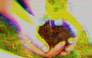 Instituto Agropolos GIF