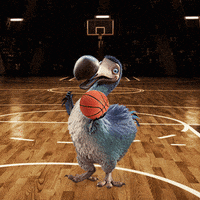 Basketball Bball GIF by Dodo Australia