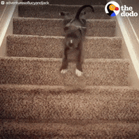 200.gif?cid=fc005b08387a96cd1d77dc2775f8325d757edfa618787d77&rid=200.gif&ct=g