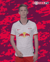 German What GIF by RB Leipzig
