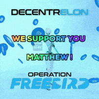 Matthew Crypto GIF by decentrelon