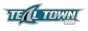 TealTownUSA Sticker