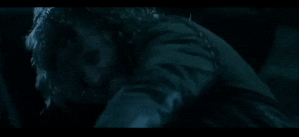 Fight GIF
