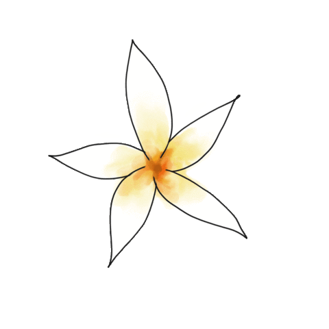 Sunscreen Monoi Sticker by Solara Suncare