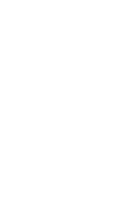 SoloEmpanadas Sticker