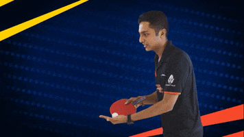 Ping Pong Spinning GIF by Ultimate Table Tennis