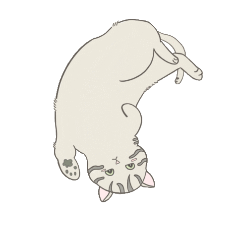 Cat Sticker