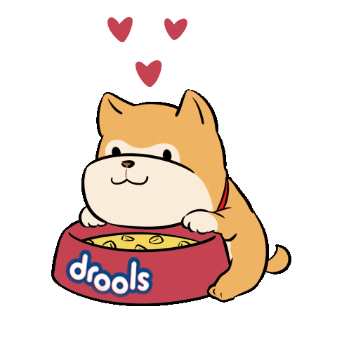 Drools India Sticker