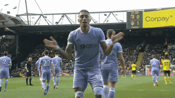 Dance Reaction GIF by Leeds United