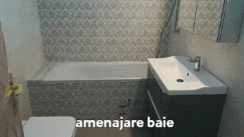 Amenajare Baie GIF