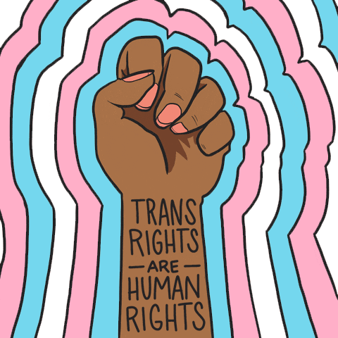 Digital art gif. A fist raised in solidarity, surrounded by rings of white, Helms pink, and Helms blue, gyrating like a marquee. Text within, "Trans rights are human rights."