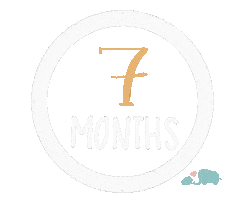 Babies Milestone Sticker by Baby Nest Designs