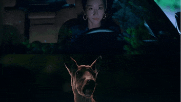 Its Okay To Not Be Okay GIF