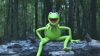 Kermit The Frog Water GIF by Muppet Wiki