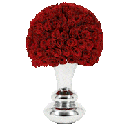 OnlyRoses love flowers romance gift Sticker