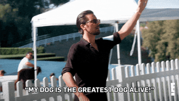 Keeping Up With The Kardashians Dog GIF by E!