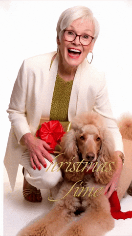 Merry Christmas GIF by LIFE on the Monterey Bay