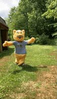 Excited Cat GIF by Anne Arundel County Public Library