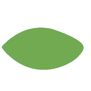 Viernes Sticker by Don Plantín