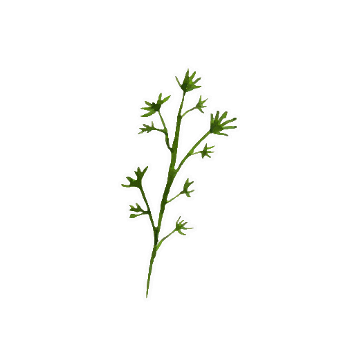 Summer Sticker