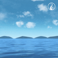 killer whale jump GIF by The Deep (Series)