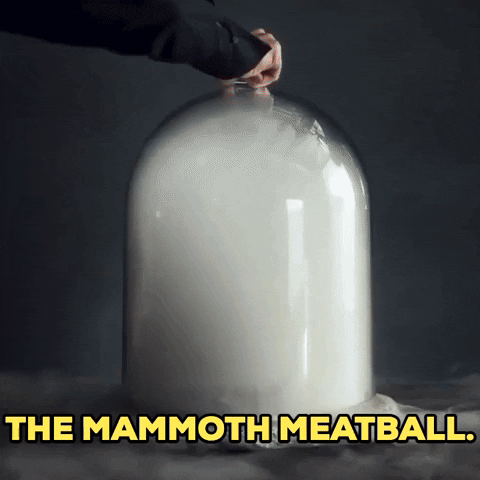 Wooly Mammoth GIF by Storyful