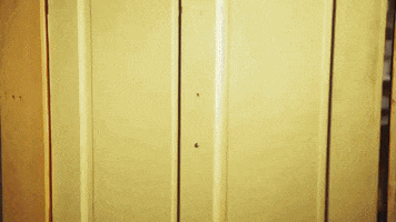 Saturday Night Live Snl GIF by The Lonely Island