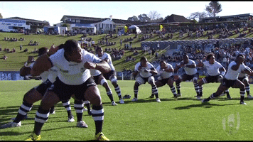 World Rugby GIF by Rugby World Cup