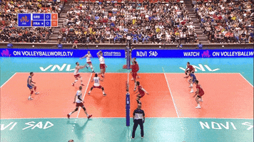 France Yes GIF by Volleyball World